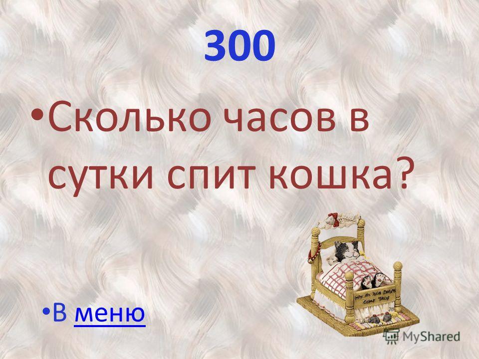 Сколько спят кошки (часов в сутки): описание нормы сна для взрослой кошки и котят