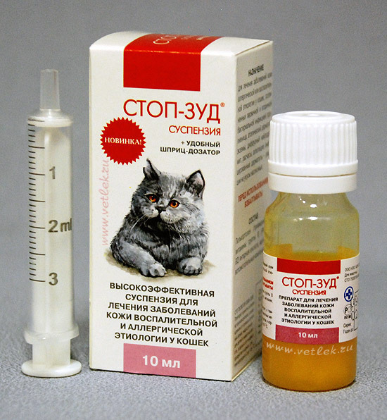 Аллергия у кота — лечение в домашних условиях