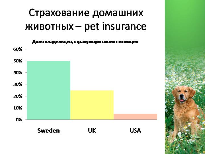 Особенности страхования домашних животных в германии