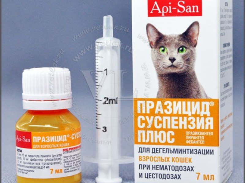 Празицид суспензия плюс для кошек: инструкция и отзывы