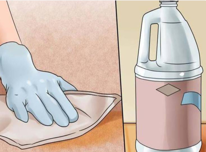 Как избавиться от запаха кошачьей мочи на ковре: 20 лучших средств в домашних условиях