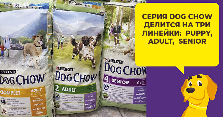 Дог чау для собак: виды корма и отзыв ветеринара на состав