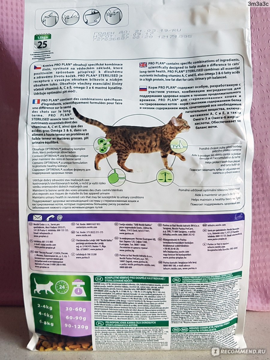 Сухой корм для кошек - особенности, виды и отзывы