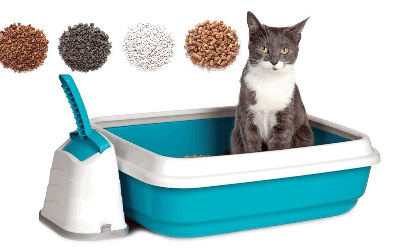 Наполнитель для кошачьего туалета: как выбрать лучший, виды (комкующийся, впитывающий), ever clean, «золотой кот», «барсик» и другие, отзывы