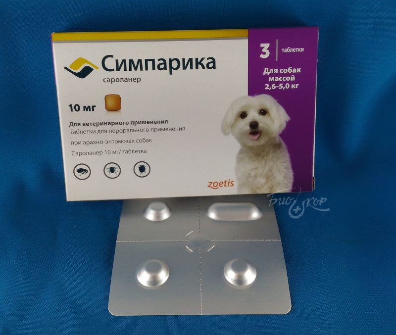 Сыворотка гискан 5 для собак и щенков: инструкция по применению - kotiko.ru