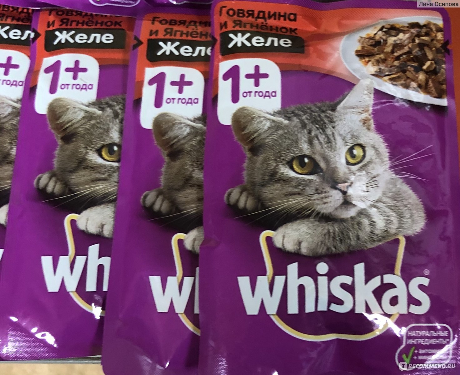 Вискас для котят и кошек: из чего делают кошачий корм, чем он вреден?