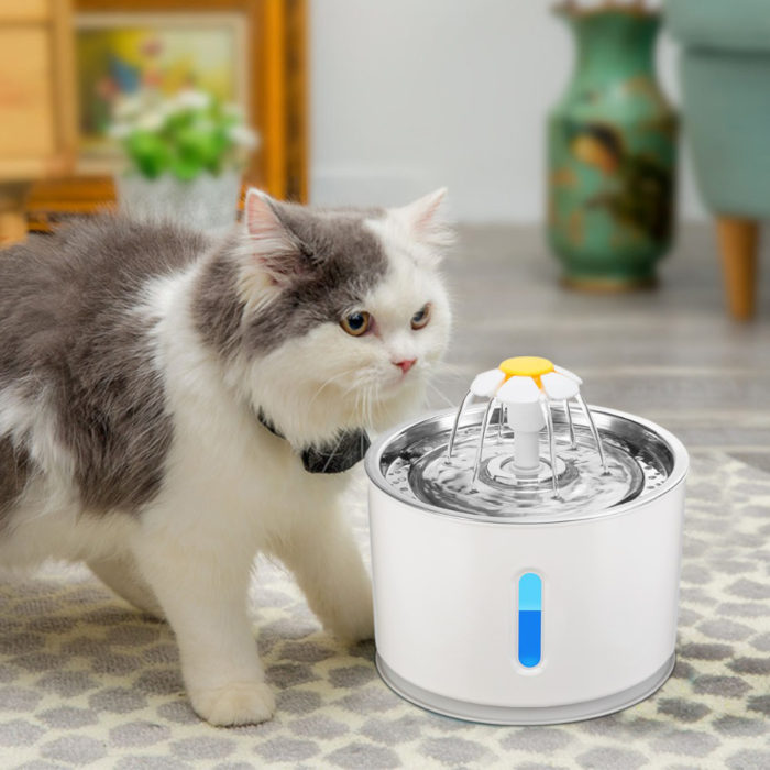 Автопоилка для кошек: питьевой фонтан, на батарейках и с фильтром, drinkwell platinum, xiaomi и другие