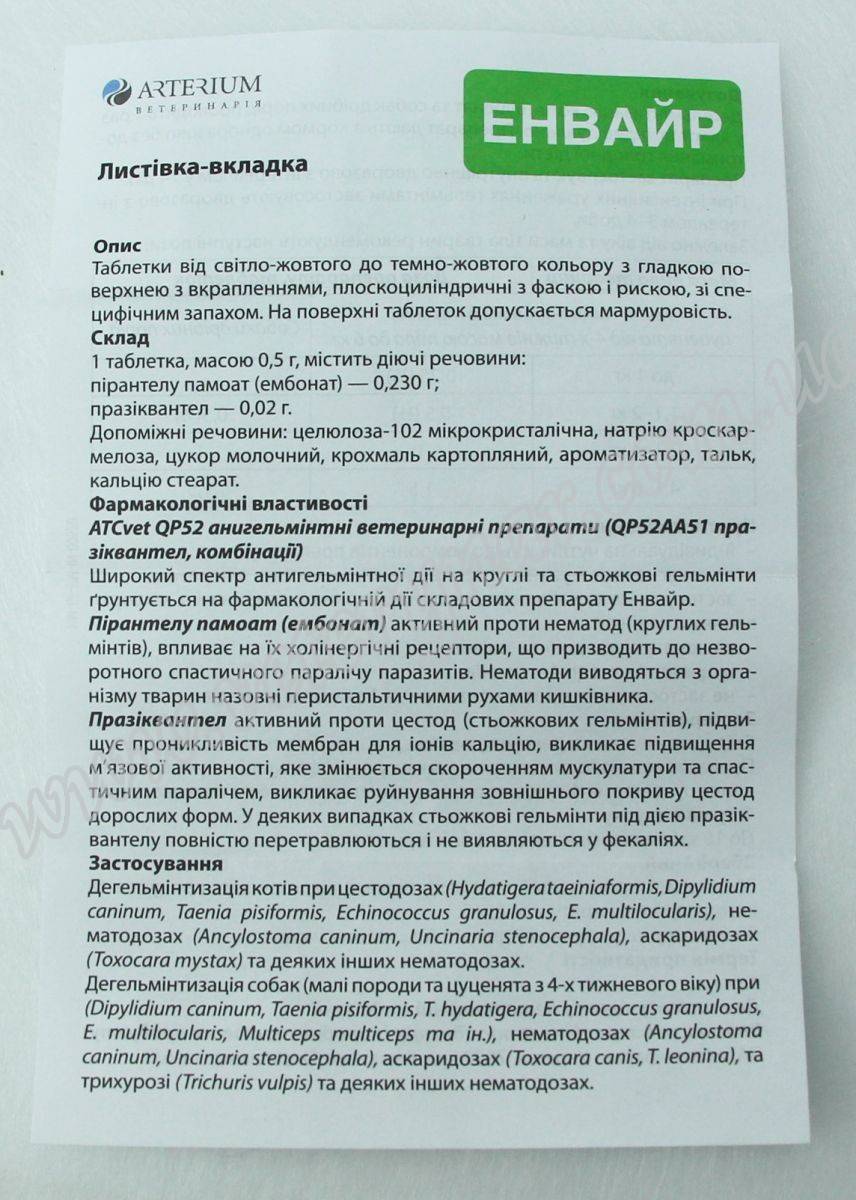 Квантум от глистов для собак. Квантум инструкция по применению. Квантум таблетки от глистов. Квантум таблетки для кошек. Таблетки от глистов Квантум для кошек дозировка инструкция.