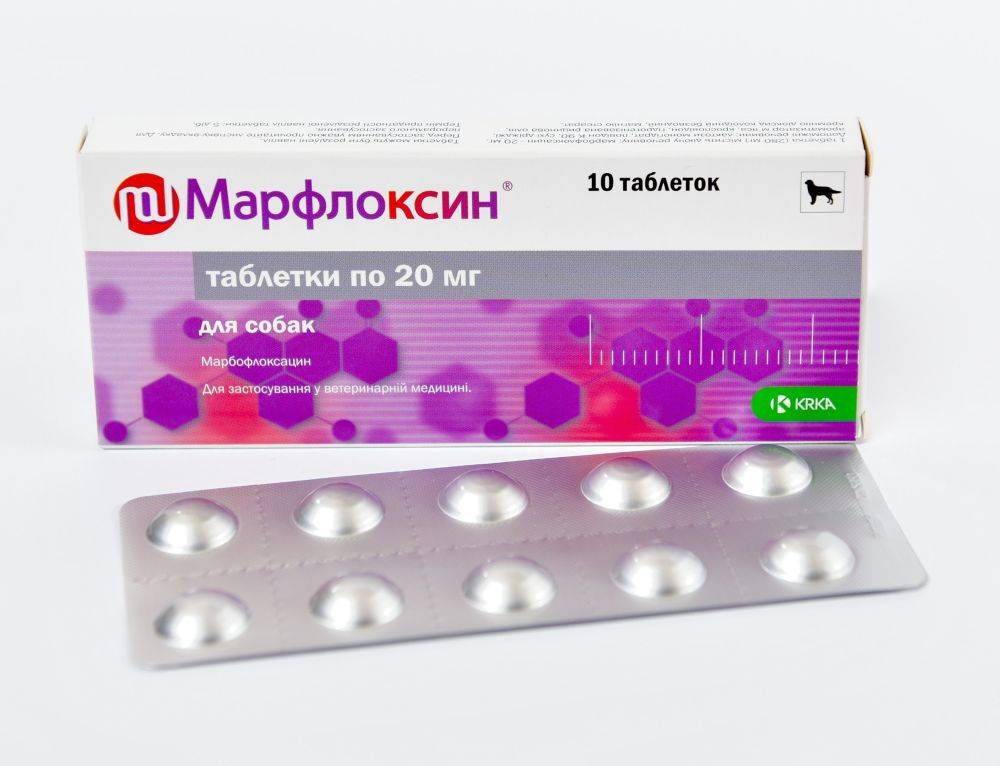 Марфлоксин для собак: таблетки и раствор для инъекций. инструкция по применению с дозировкой для взрослых питомцев и щенков