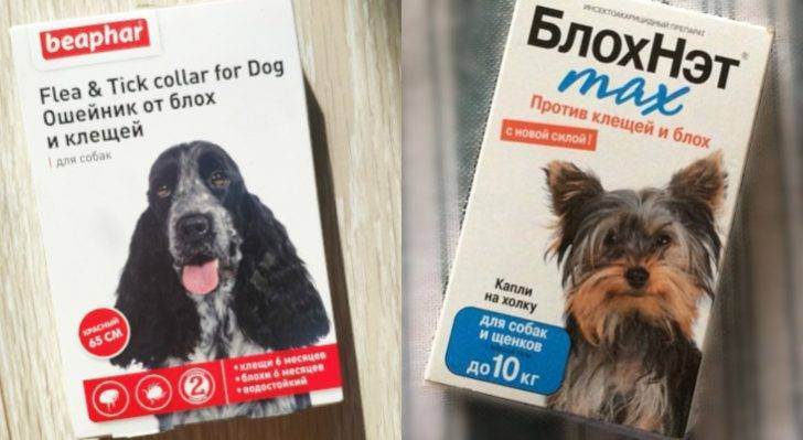 Как выбрать средство от блох для собак - обзор самых эффективных средств