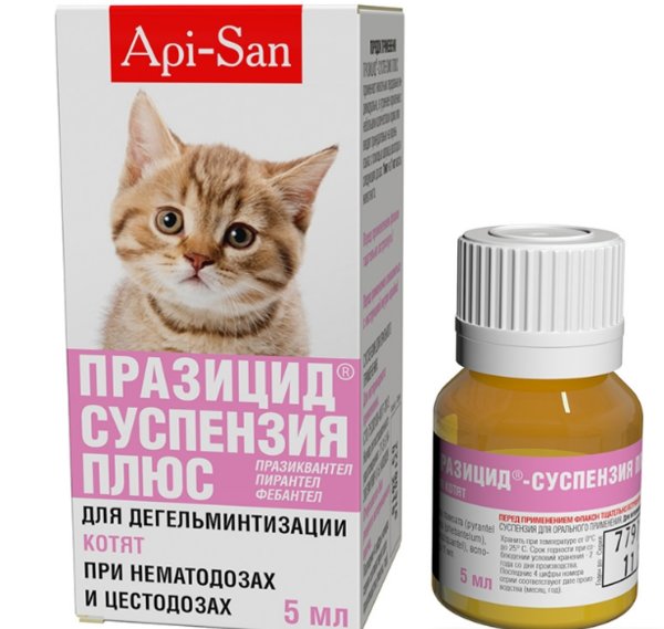 Обзор препарата празицид для кошек и котят: инструкция по применению, отзывы