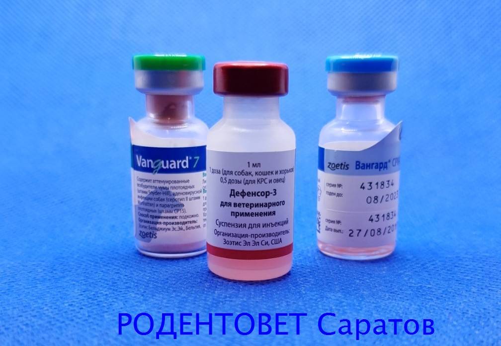 Вакцины вангард 5 и вангард 7: инструкция по применению - вет-препараты