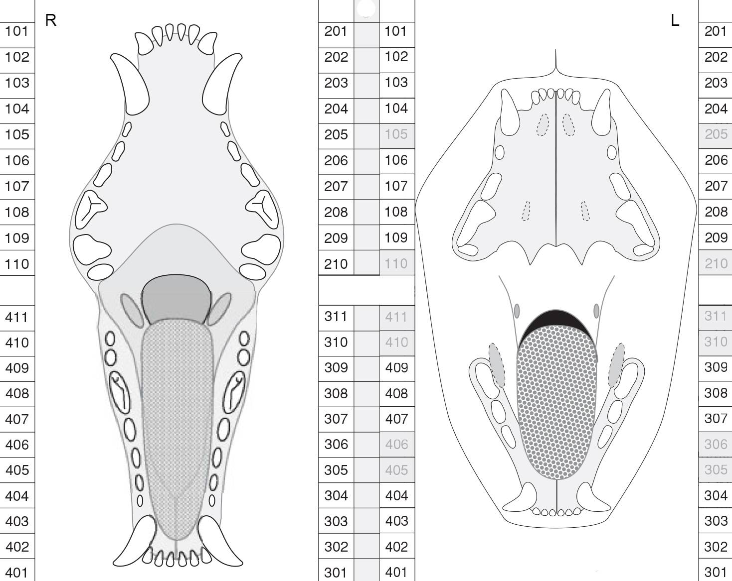 Как определить возраст котёнка – топ-5 способов решить вопрос