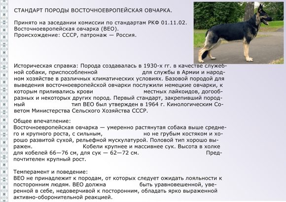 Хитрости и сложности собачьей любви или все о вязке