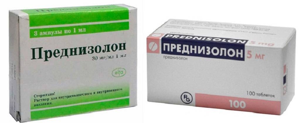 Прочитайте эту инструкцию по применению, прежде чем использовать преднизолон для собак!