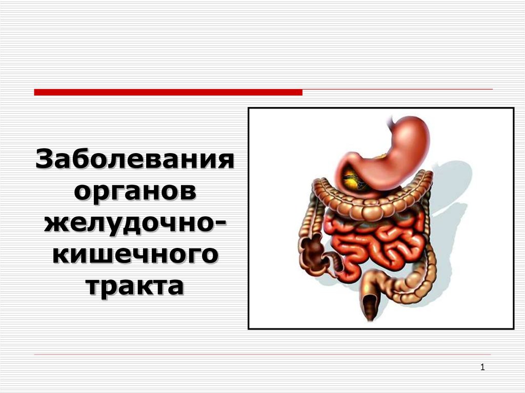 Болезни пищеварительной системы картинки