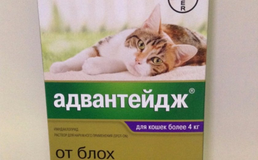 Адвантейдж для кошек инструкция по применению: виды, дозировка, способы нанесения, аналоги