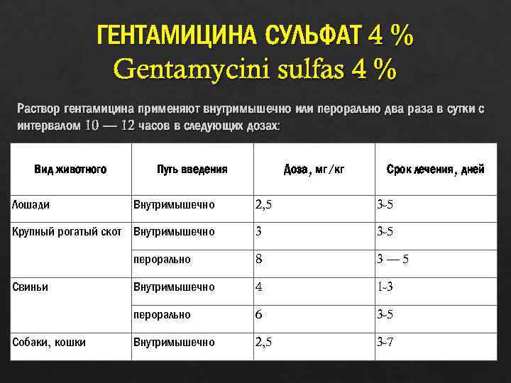 Антибиотики широкого спектра действия для кошек: какой выбрать?