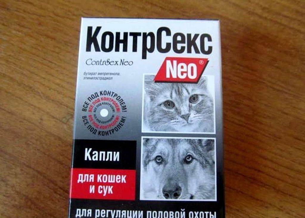 Рейтинг средств от гуляния кошек