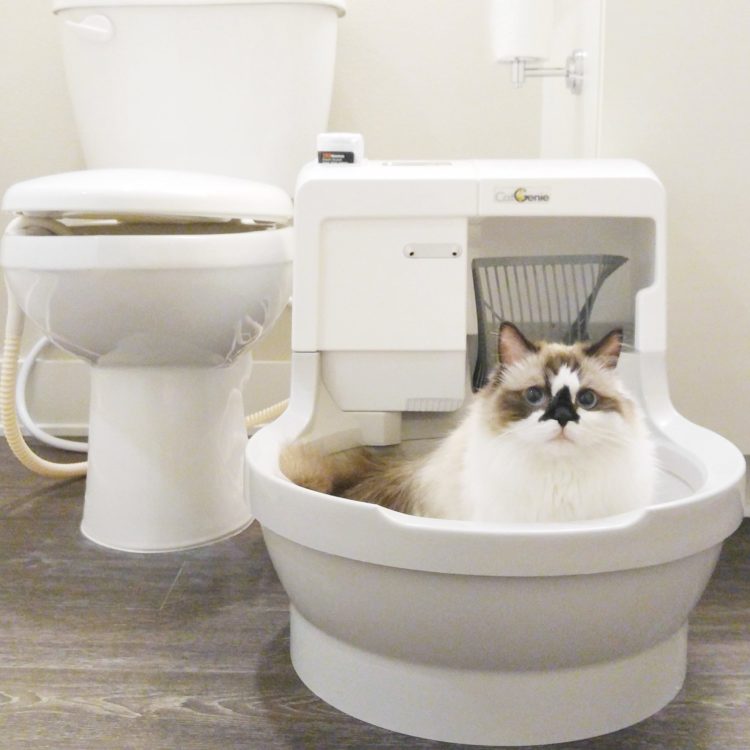 Туалет для кошек самоочищающийся | лоток, цена, купить, отзывы