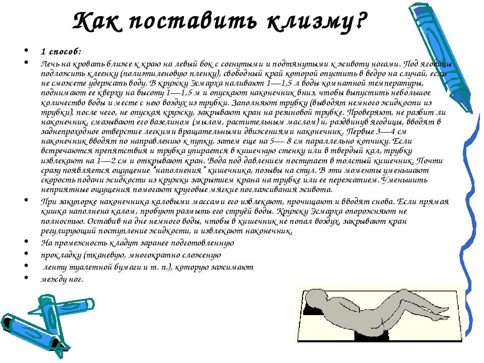 Клизма коту: описание метода, пошаговая инструкция, советы ветеринаров