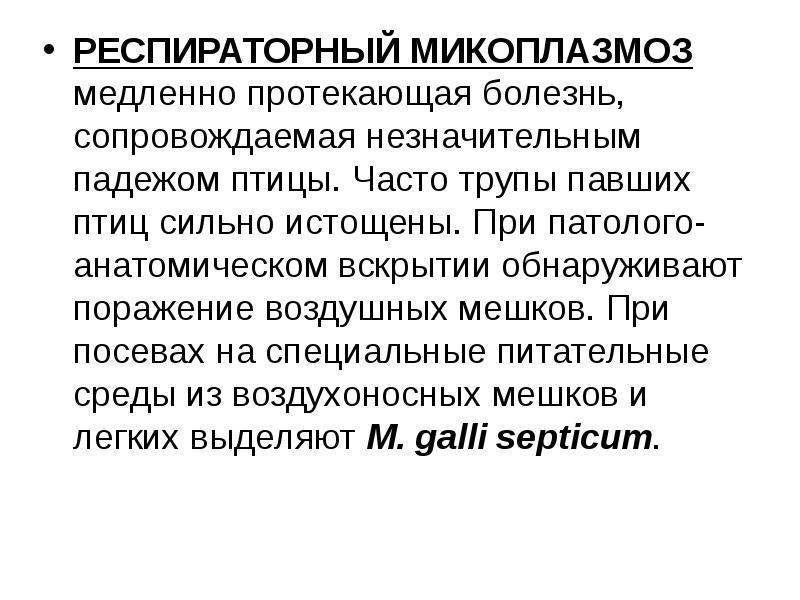 Микоплазмоз у собак: симптомы и лечение.
