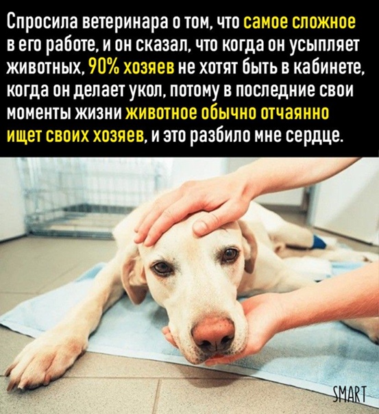 Лето… возьми мое сердце в свои ладони… цитаты и афоризмы про лето