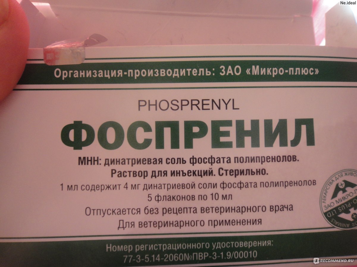 Фоспренил для кур инструкция по применению