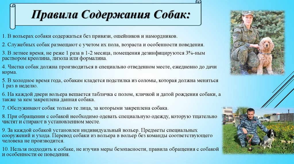 Можно ли держать собаку в доме? - ответ отца олега моленко на вопрос №1617