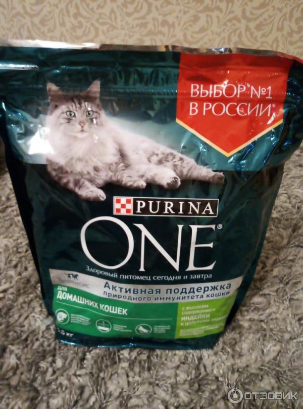Классы кошачьих кормов — что они означают?