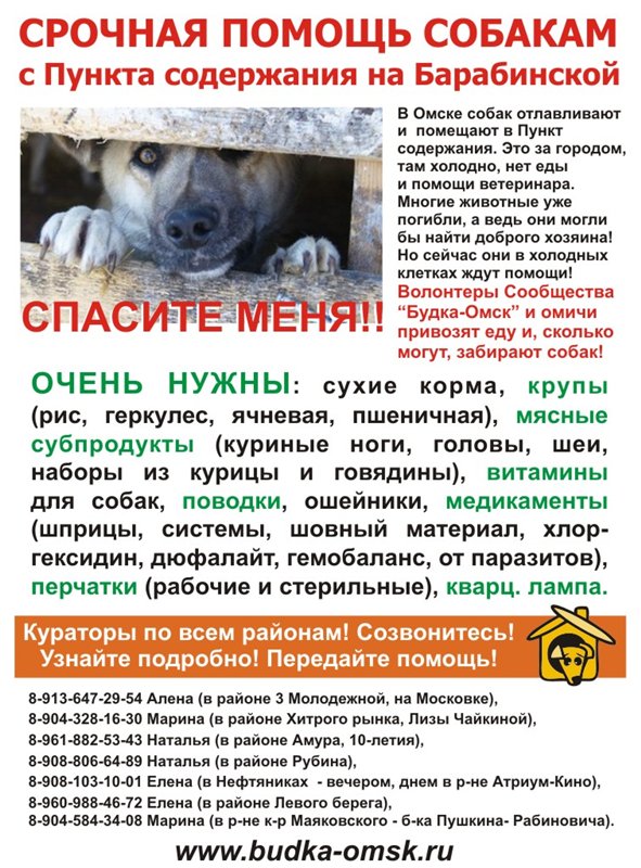 Собака в доме по православию — отношение церкви к собакам