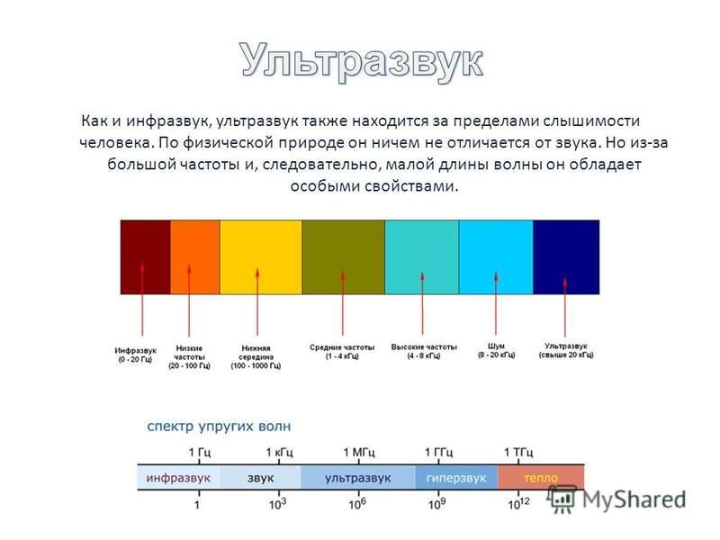 Рейтинг лучших отпугивателей собак на 2022 год
