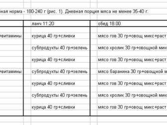 Чем кормить месячного котика