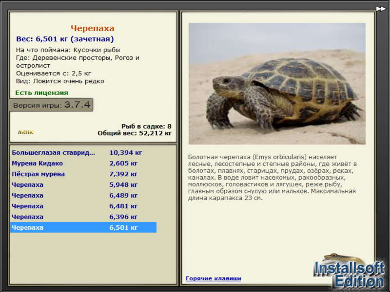 Вес черепахи. Рр3.6 Деревенские просторы Тайная черепаха. Скорость черепахи метров в минуту