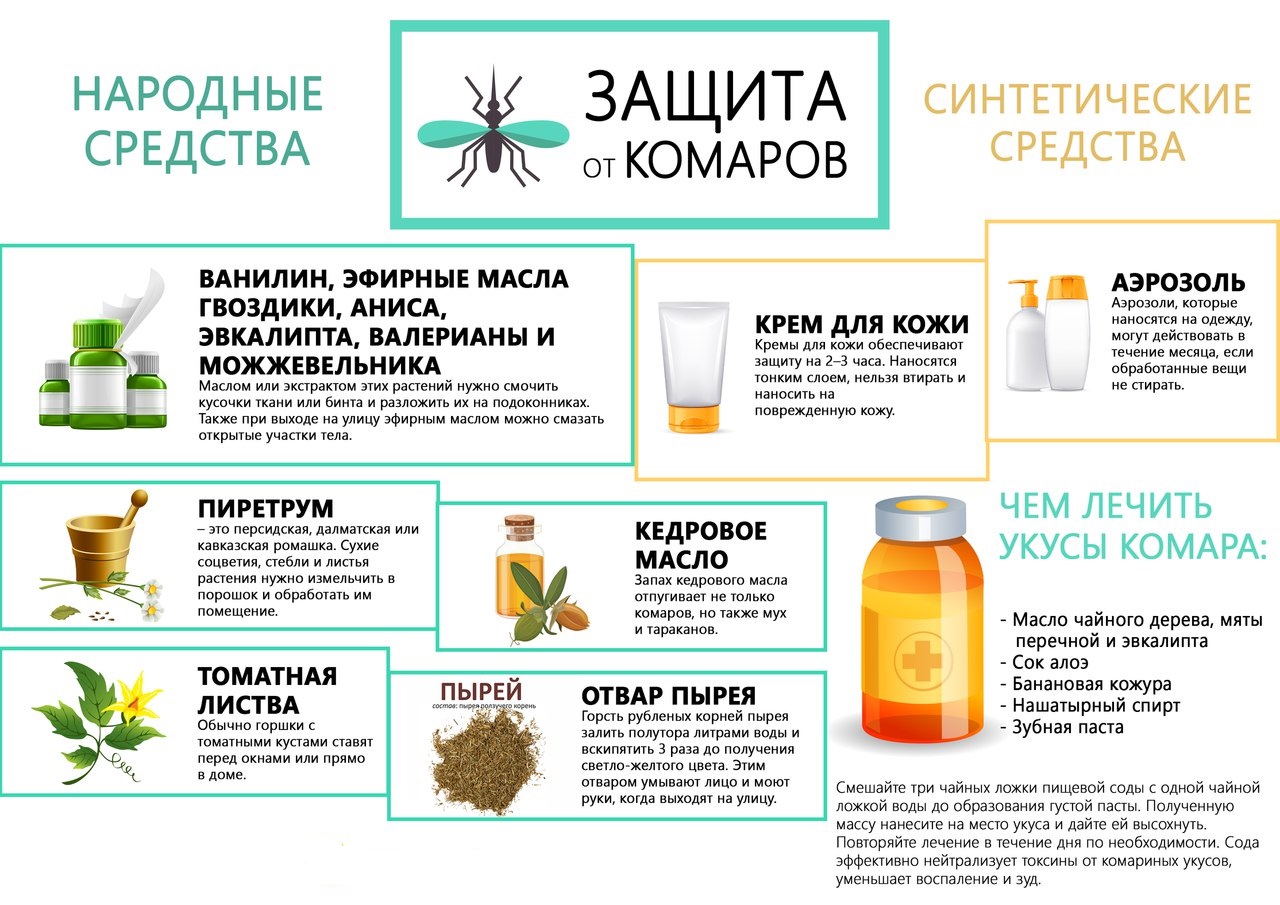 Запахи, отпугивающие кошек.