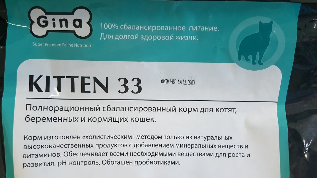 Gina elite (джина элит): обзор корма для кошек, состав, отзывы