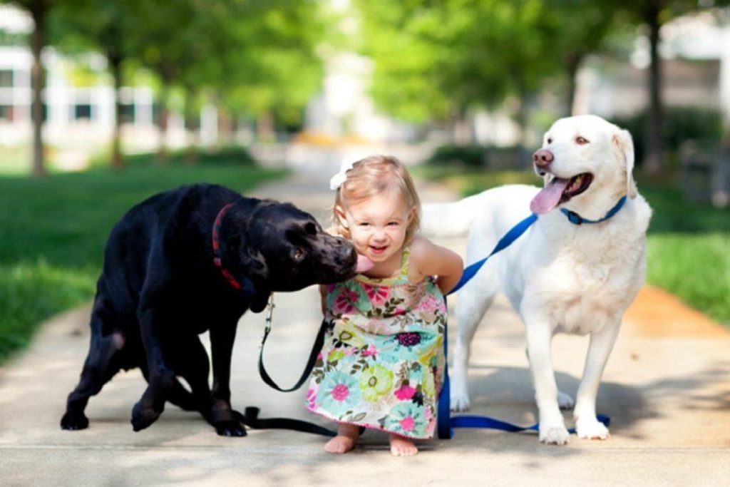 Собака для ребенка: лучшие породы для детей, рекомендации