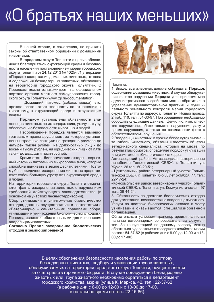 Разрешено ли по православному христианству держать в доме собаку