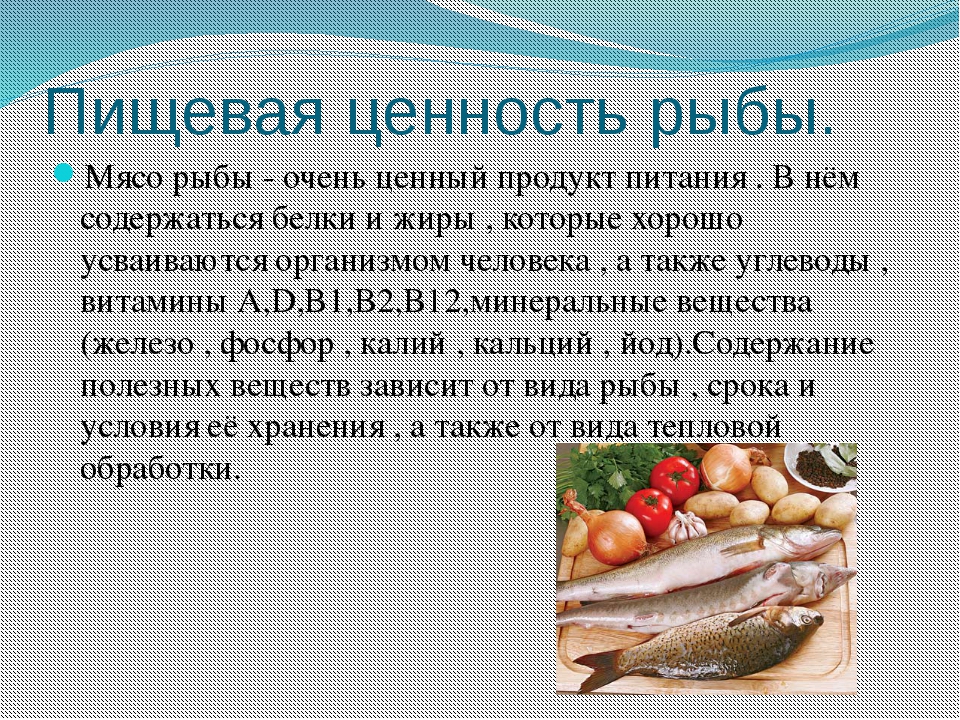 Можно ли давать кошке рыбу: какую, в каком виде, возможные опасности