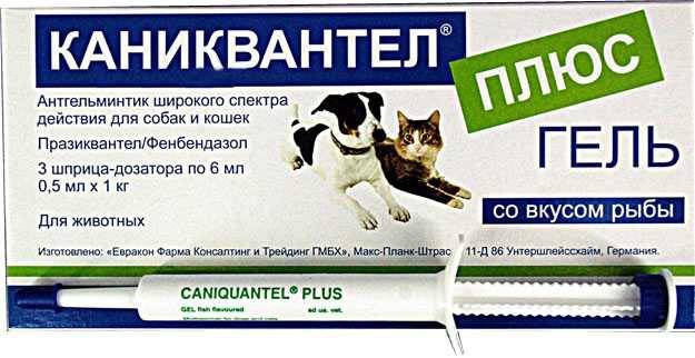 Каниквантел для кошек: инструкция по применению | цена, отзывы