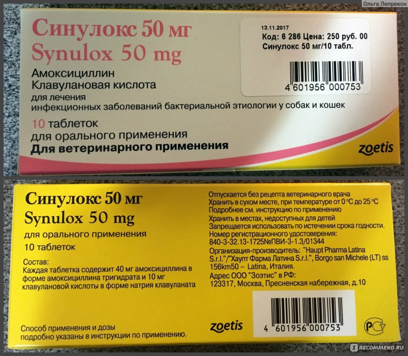 Обзор антибактериального препарата синулокс