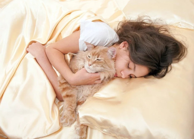 4 причины почему кошка спит в ногах у человека - что это значит