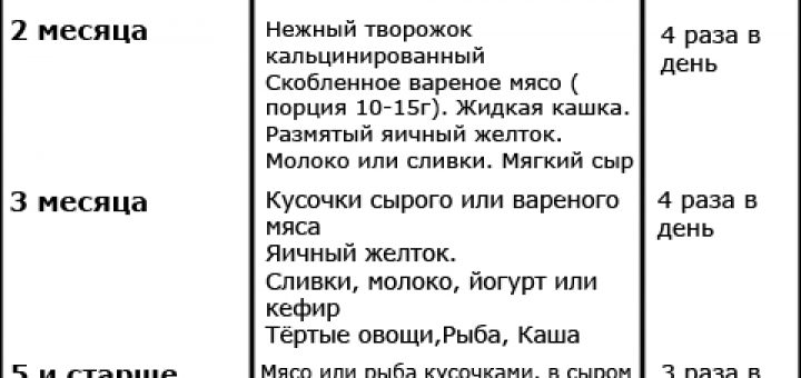 Нормы корма для кошек: сколько корма нужно кошке