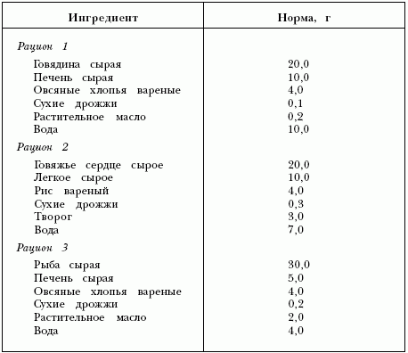 Искусственное вскармливание котят