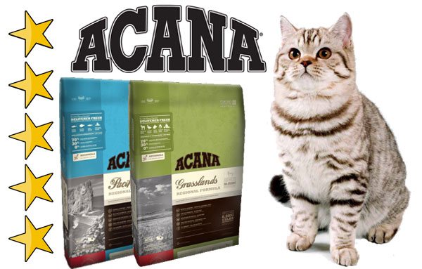 Корма для кошек, какой корм лучше для кошек, лидер рейтинга производителей, официальный сайт акана: производство и продажа корма для кошек, где купить, отзывы о корме акана