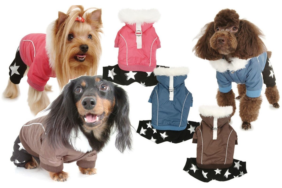 ???? одежда для собак: лучшая одежда для больших и маленьких собак | dogshaggy