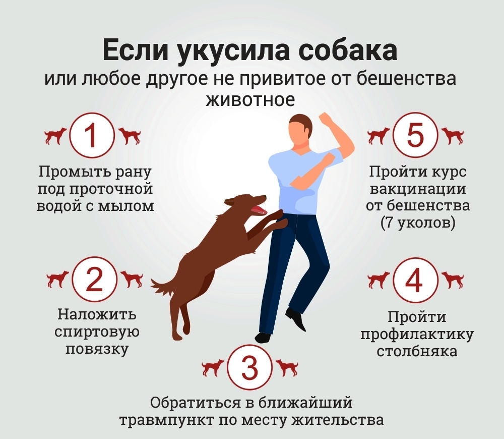 Как заставить собаку прекратить кусаться