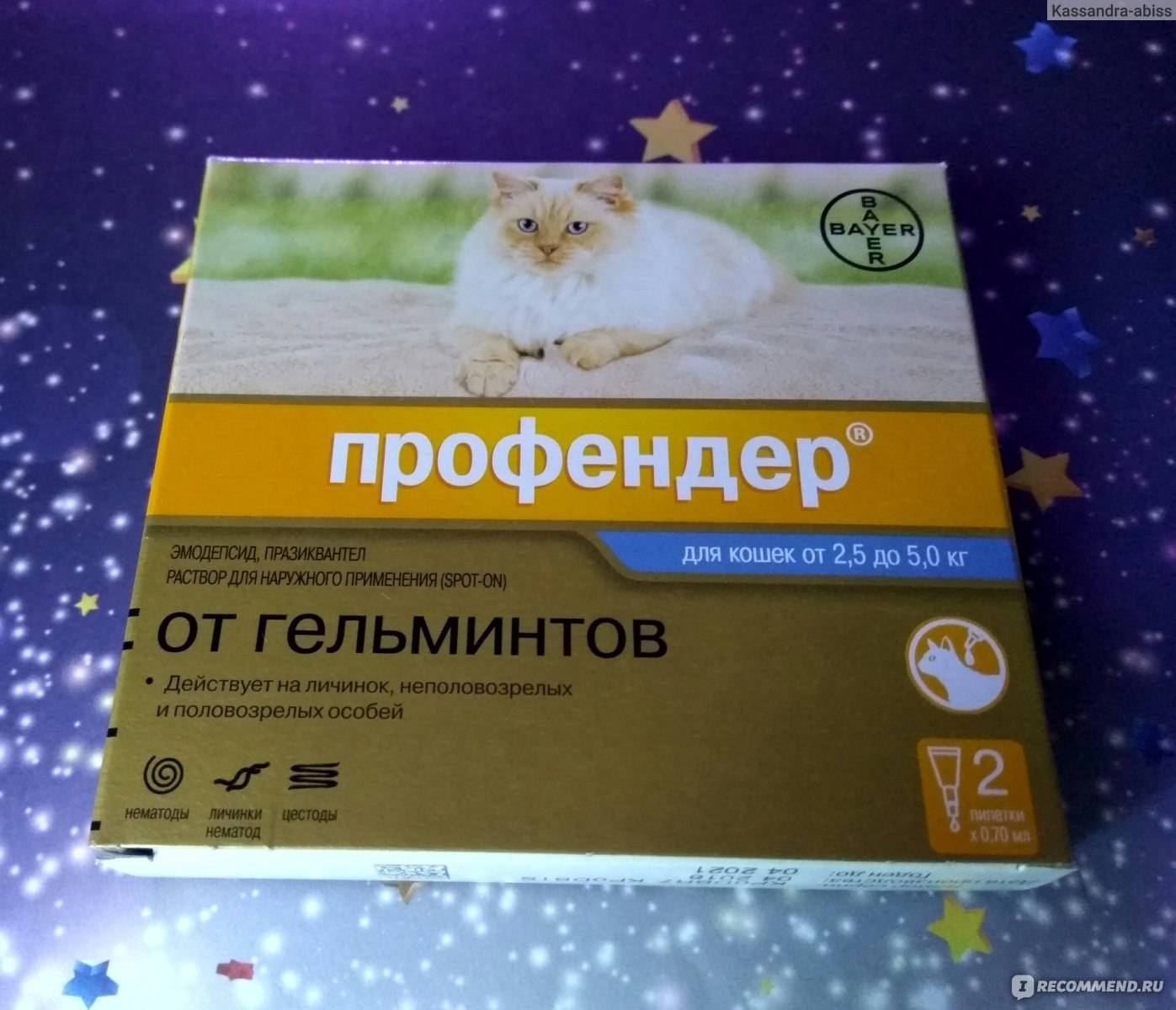 Дирофен для кошек — инструкция по применению