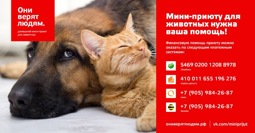 Карта teddy food ак барс условия обслуживания | оформить teddy food от «ак барс» банка онлайн | банки.ру