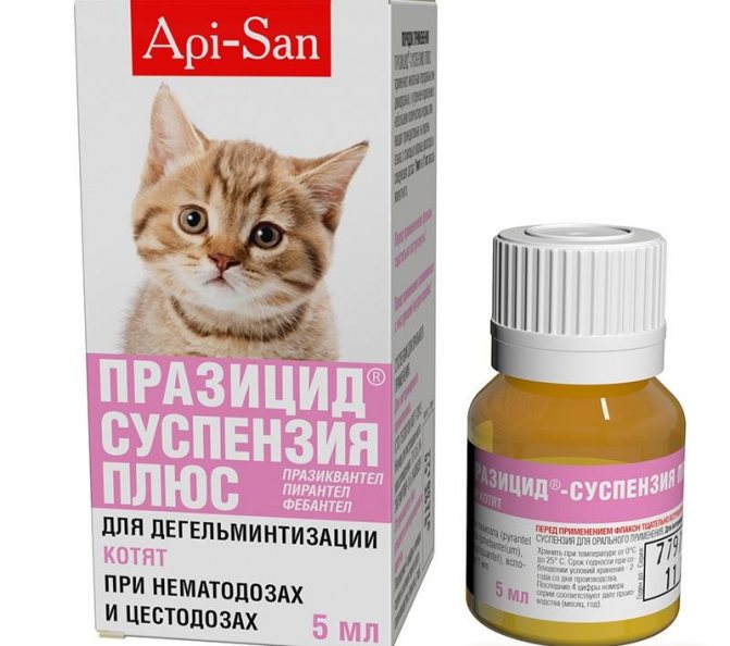 Празицид – суспензия и таблетки, инструкция по применению для котят и взрослых кошек: как давать, в какой дозировке?